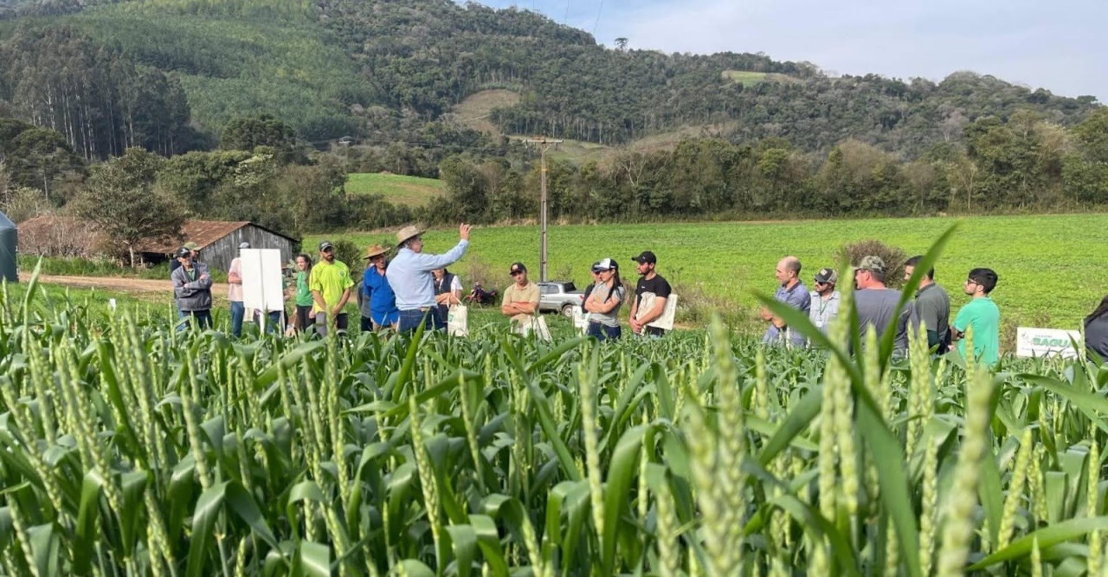 Qualidade da forragem