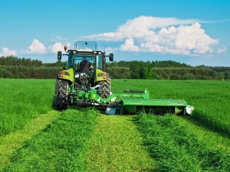 Segadeira para trator Agroforn em operação no campo, cortando forragem com precisão. Equipamento robusto, ideal para fenação eficiente e alta produtividade rural.